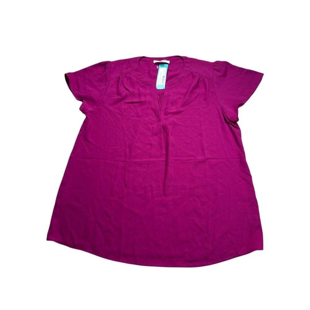Monday Fun Ruby Short Sleeve‎ Pleated Blouse Ruby Pink Medium Stitch Fix